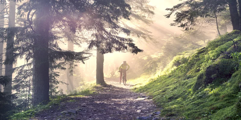 Radfahren rund um Lipno